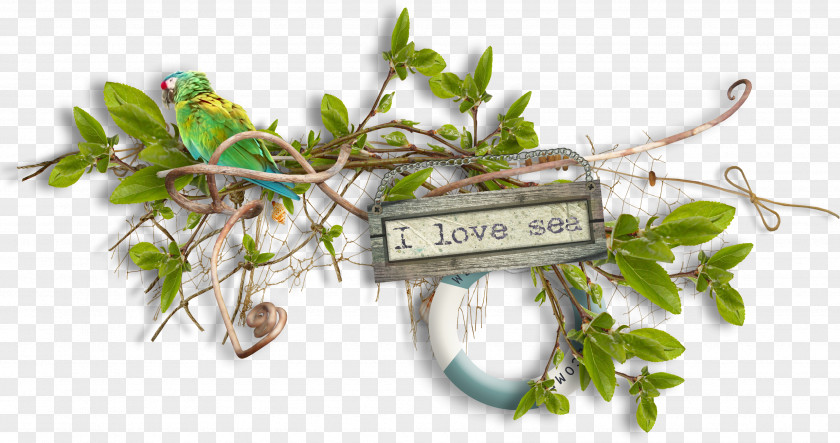 I Love The Sea Leaves Designer Clip Art PNG