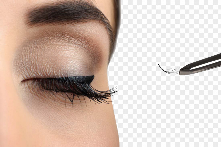 Long Eyelashes Beauty Eyelash Extensions Comb Cosmetics Hair PNG