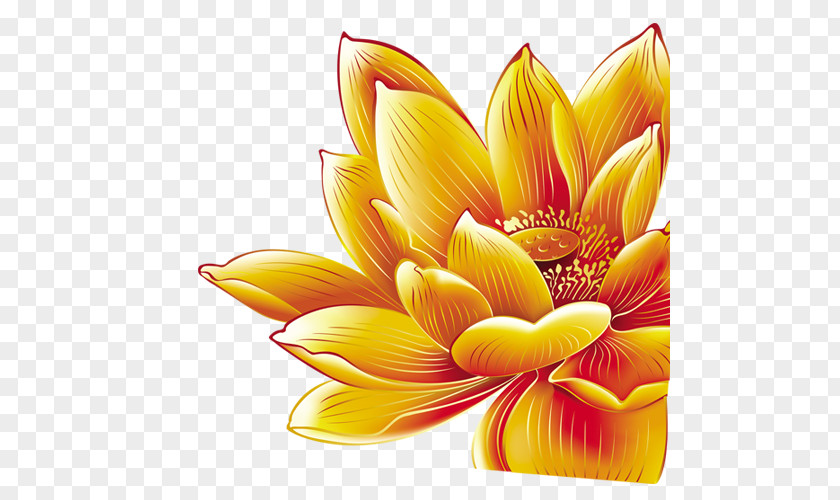 Lotus Decorative Pattern China Graphic Design PNG