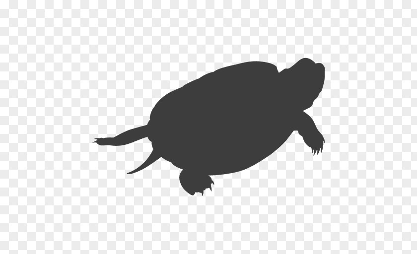 Turtle Sea Tortoise Silhouette PNG