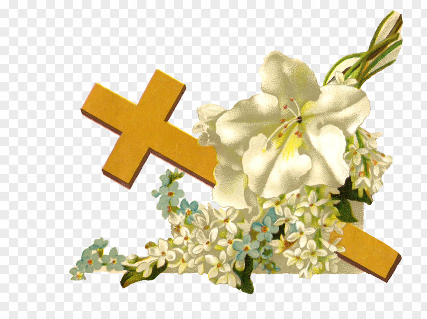 Beautiful Religious Cliparts Bible Religion Christianity Flower Clip Art PNG