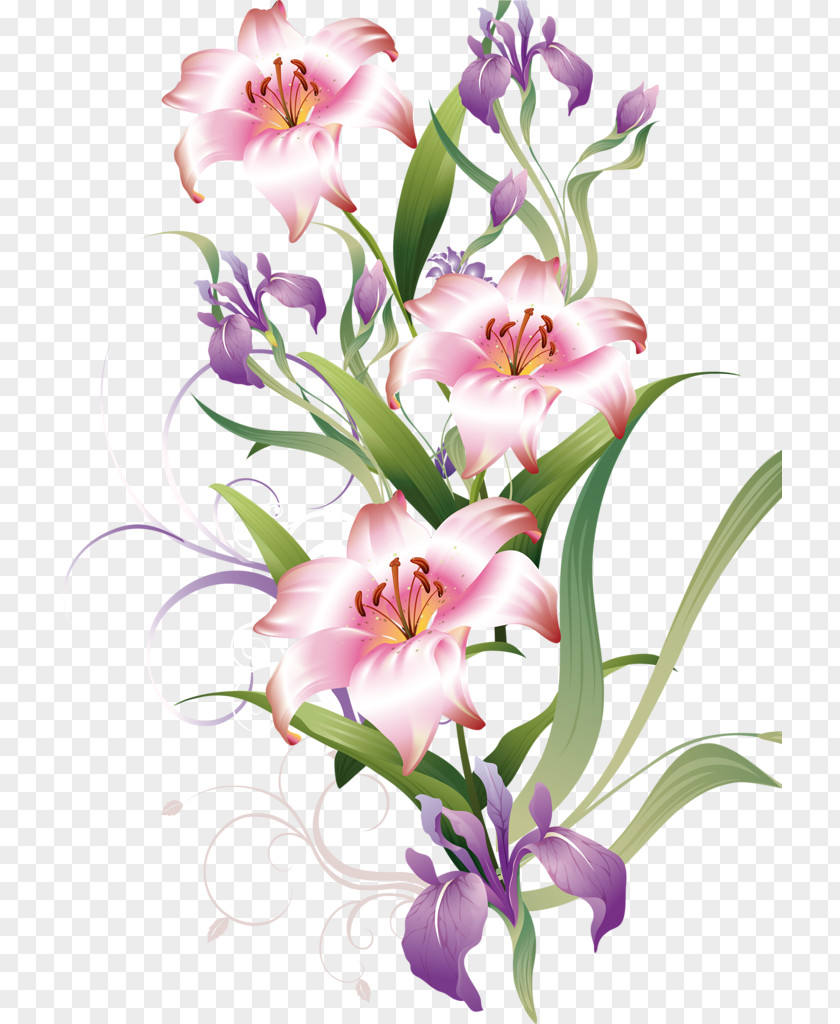 Bellflower Family Orchid Bouquet Of Flowers Drawing PNG