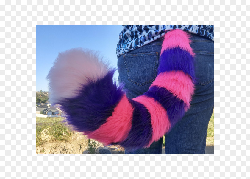 Ear Fur Tail Pink Cat Cheshire Maine Coon PNG