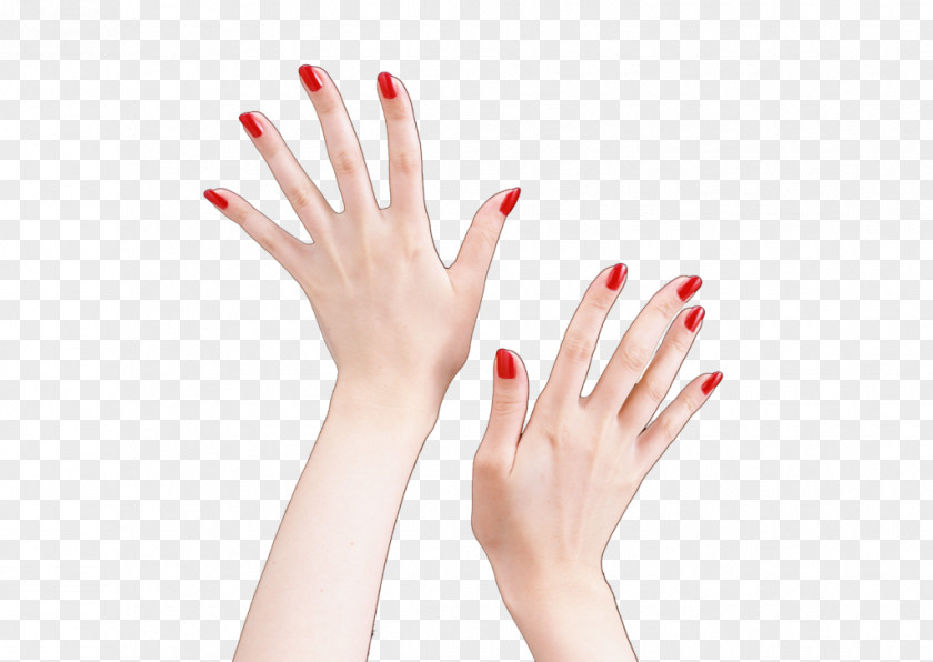 Nail Polish Hand Art PNG