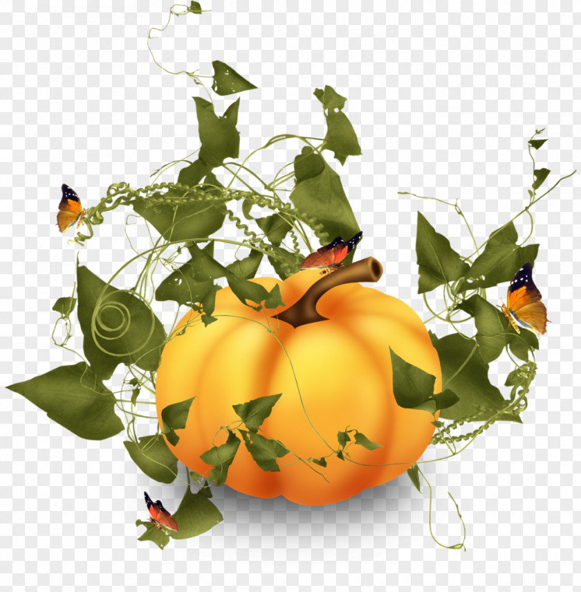 Tube Pumpkin Squash Vegetable PNG