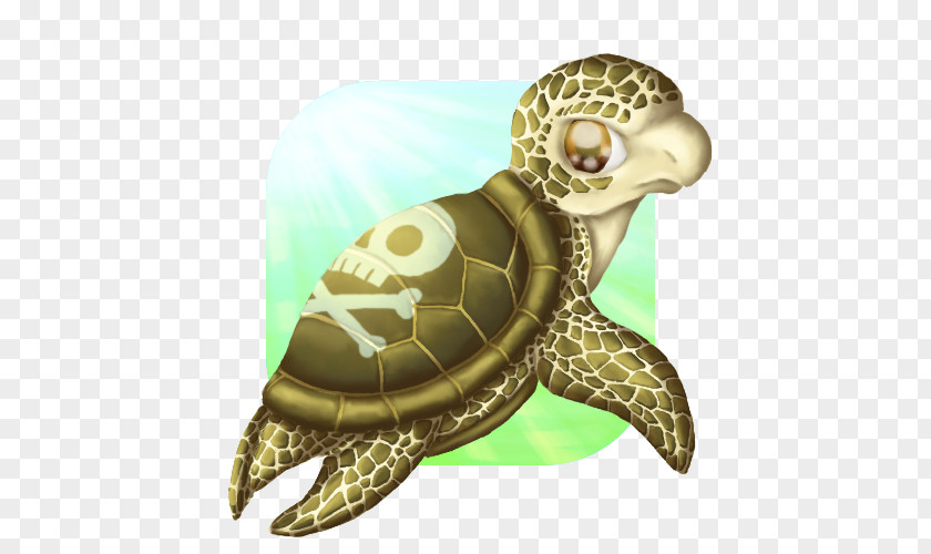 Turtle Tortoise Sea Pond Turtles Terrestrial Animal PNG