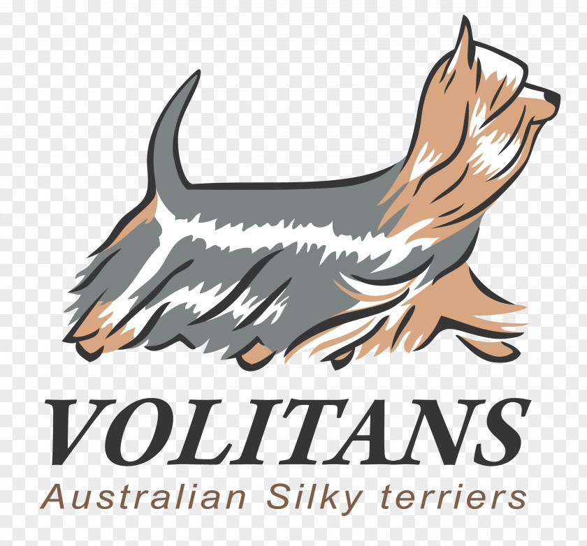 Australian Silky Terrier Canidae Dog Brand Logo Clip Art PNG