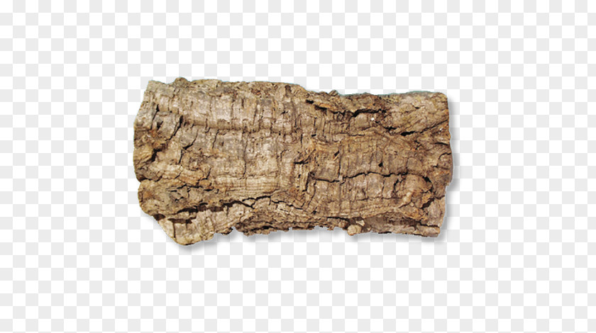 Bark Beslist.nl Aquarium Driftwood Terarij PNG