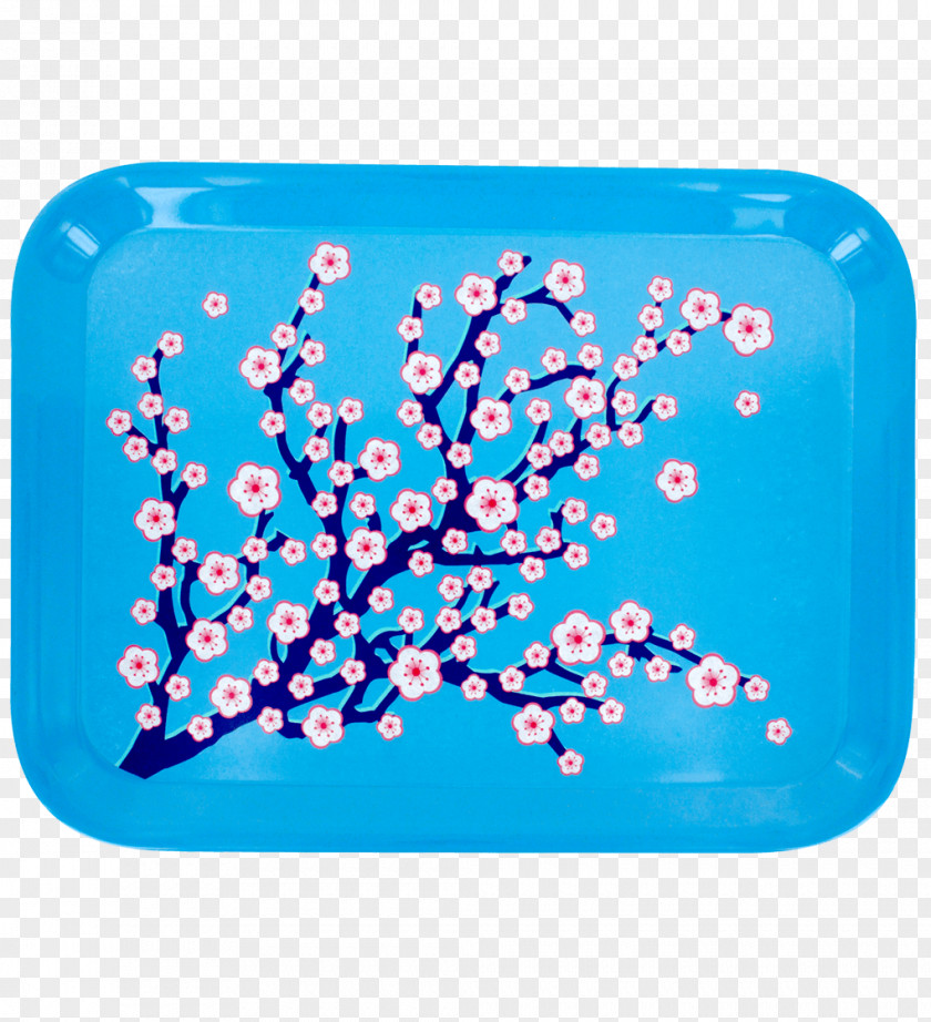 Design Tray Plateau Turquoise Pylones PNG