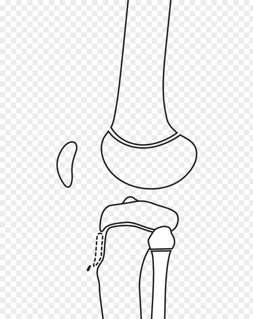 Drawing Shoe Book PNG