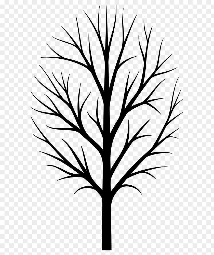 Flower Blackandwhite Family Tree Silhouette PNG