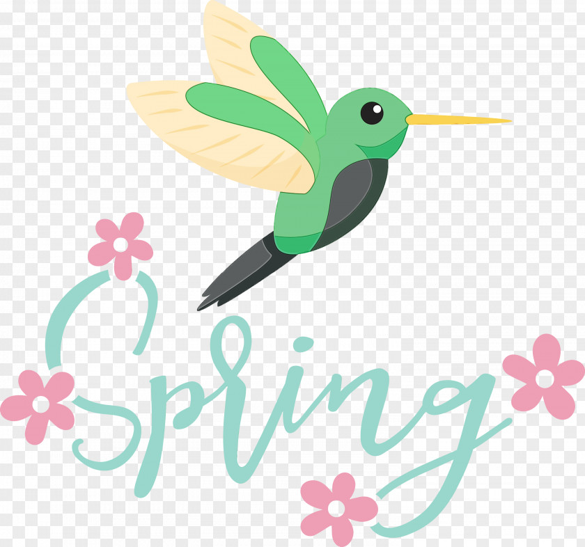Hummingbirds Meter Logo Beak PNG