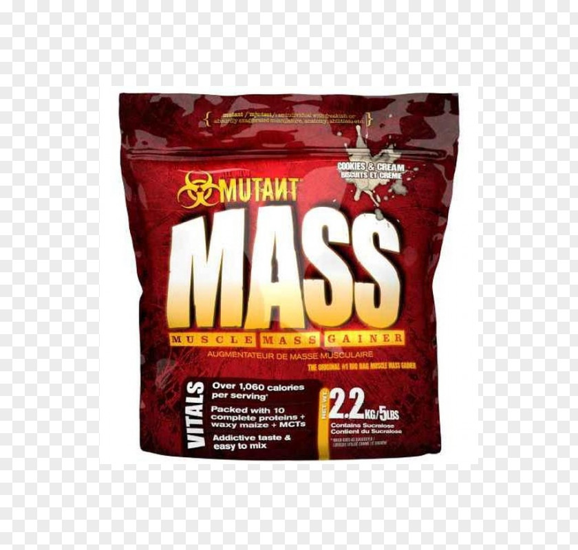 Musculação Dietary Supplement Gainer Bodybuilding Mass Muscle PNG