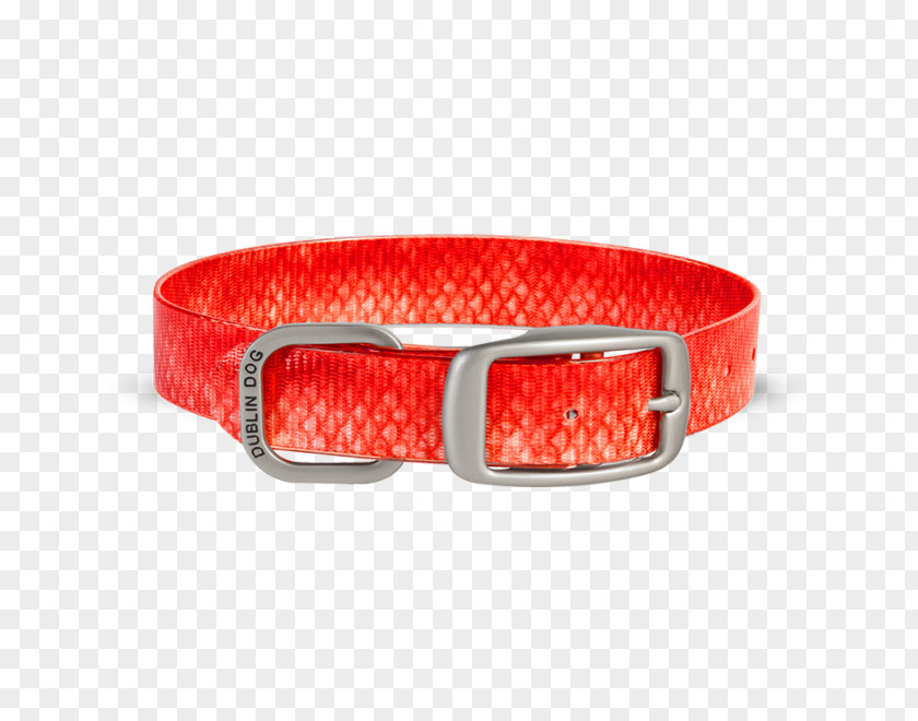 Red Snapper Dog Collar Puppy Toys PNG