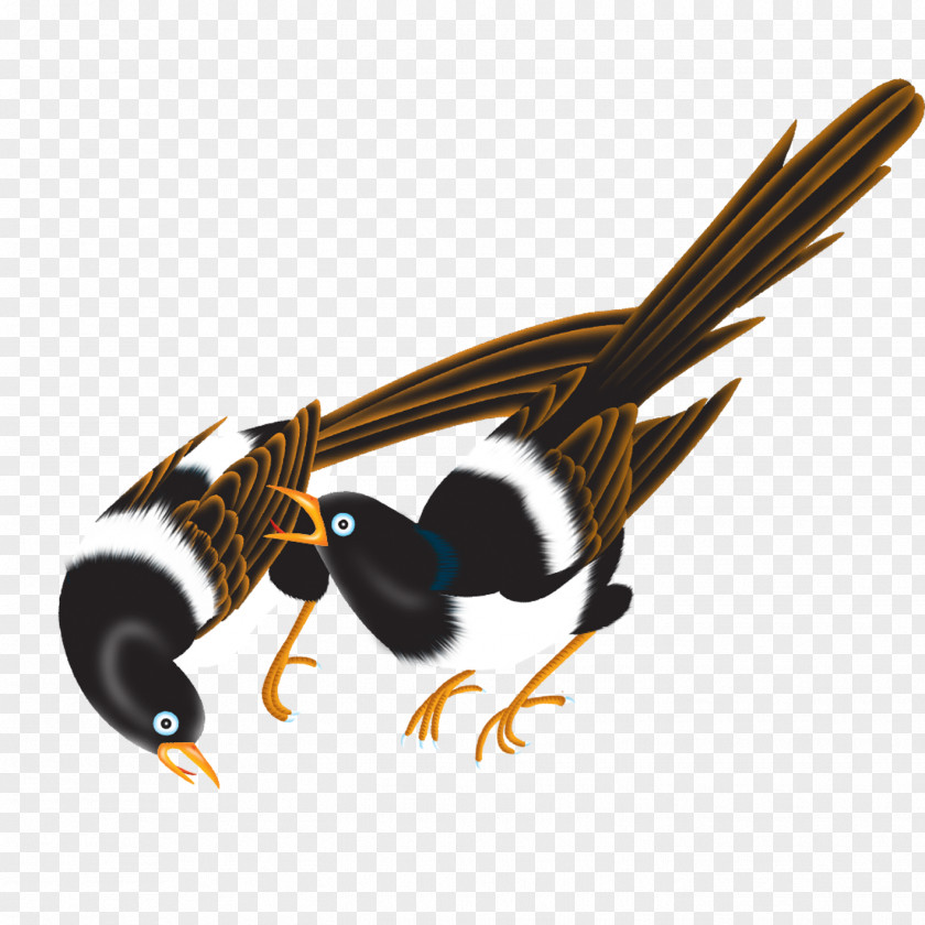 Bird Insect Beak Pollinator Illustration PNG