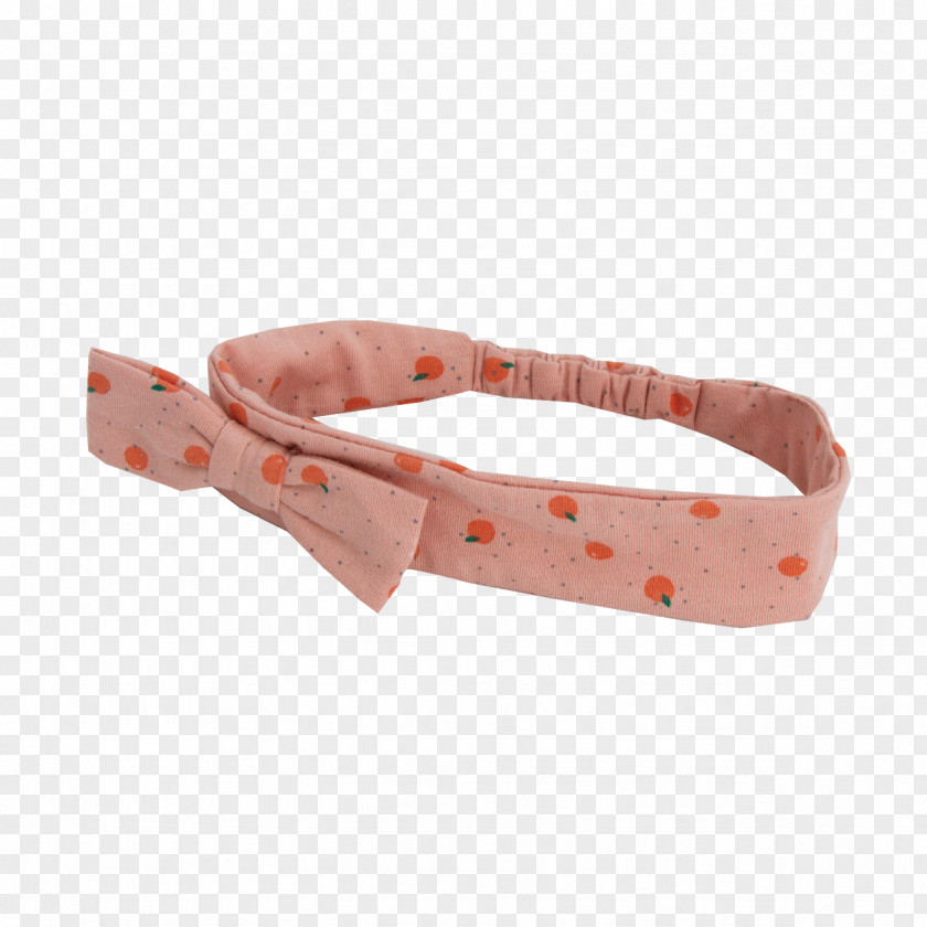Dog Collar Belt PNG