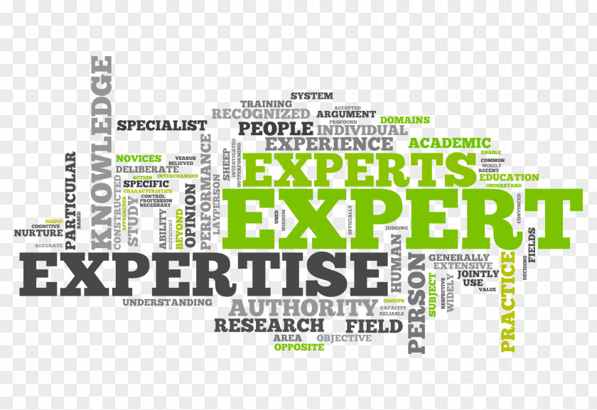 Expertise Adaptive Expert Witness Service SEO Sydney Solutions PNG