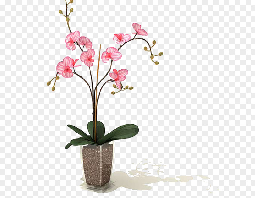 Fiori Penjing Design Image Garden 3D Modeling PNG