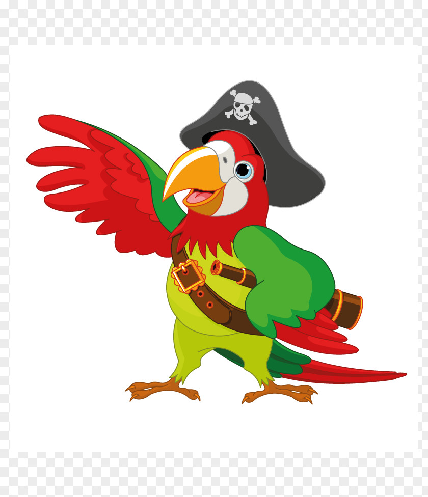 Parrot Pirate Clip Art PNG
