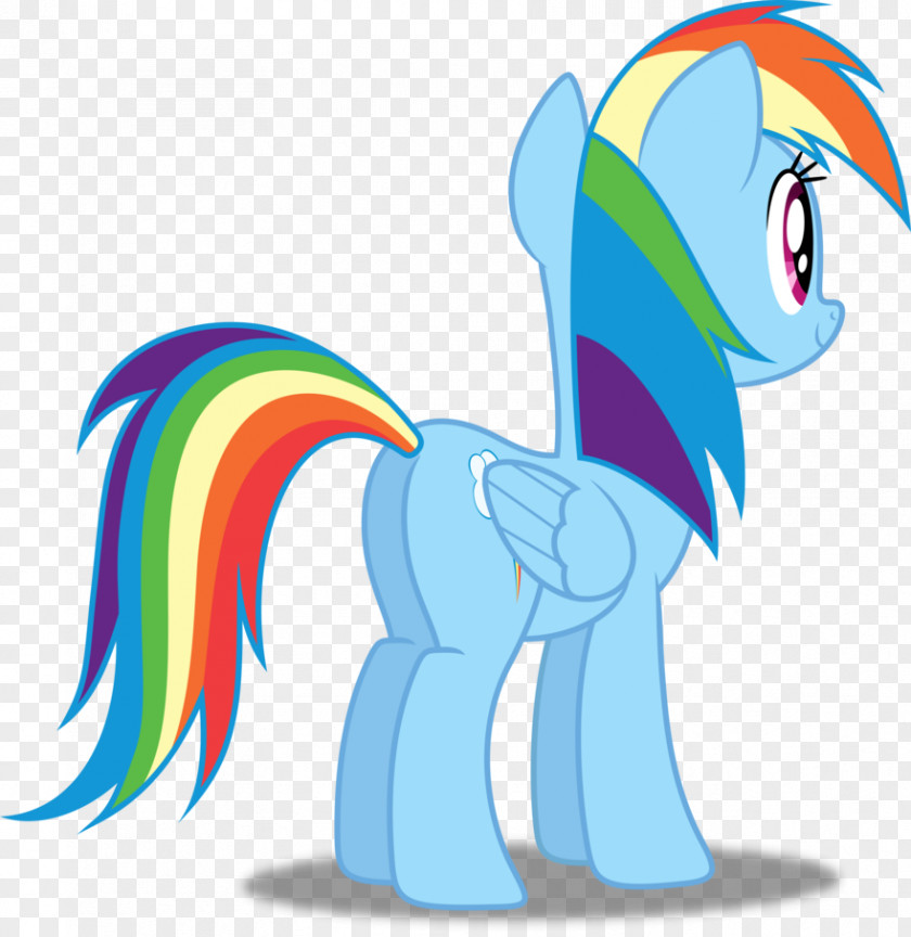 Rainbow Dash Pony Applejack Rarity Twilight Sparkle PNG