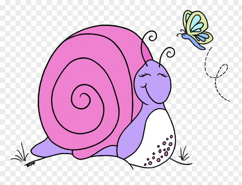 Snail Clip Art Vertebrate Illustration /m/02csf PNG