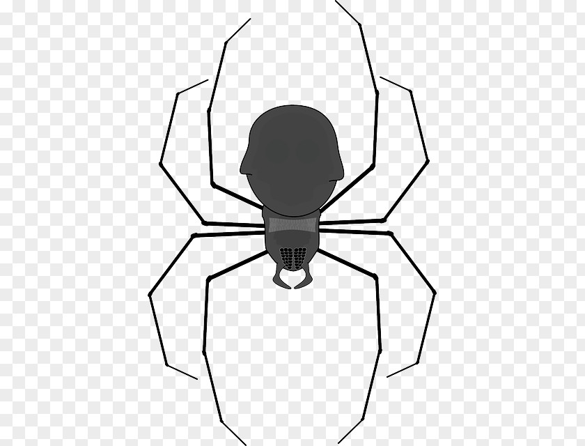 Spider Insect Web Clip Art PNG