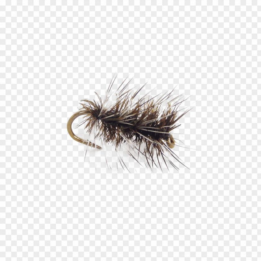 Fly Fishing Artificial Hackles Pupa PNG