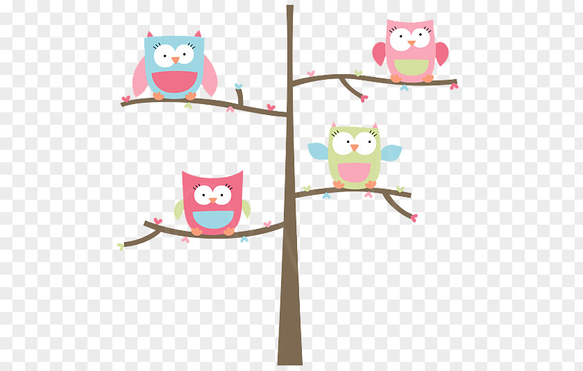 Owl Little Bird Clip Art PNG