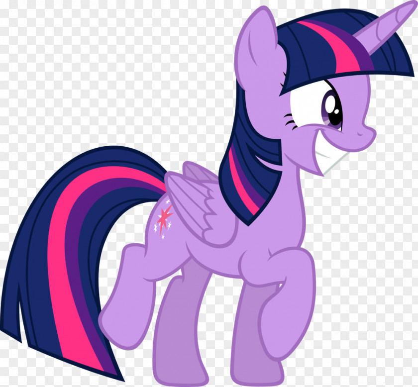 Pony Twilight Sparkle Pinkie Pie Rainbow Dash Derpy Hooves PNG