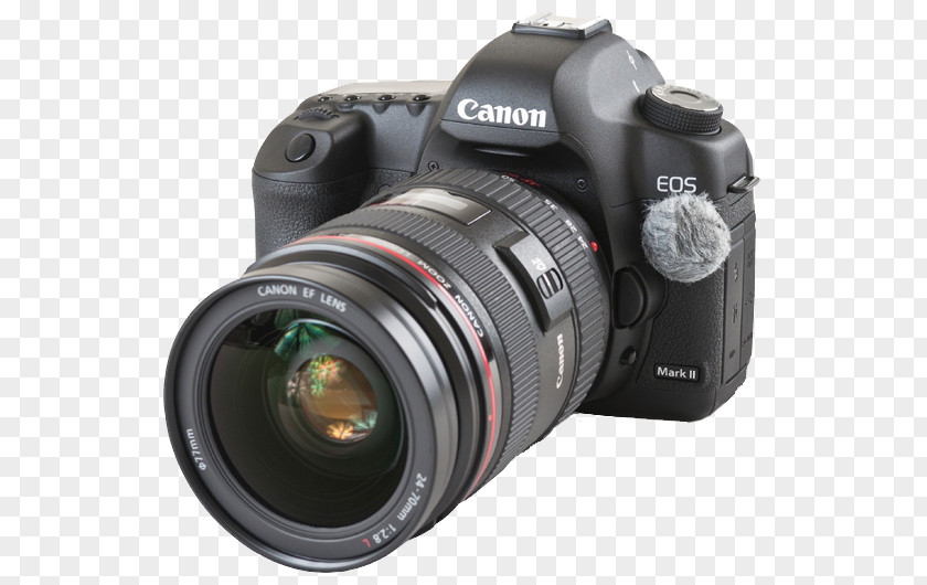 Camera Lens Digital SLR Nikkor Fujifilm PNG