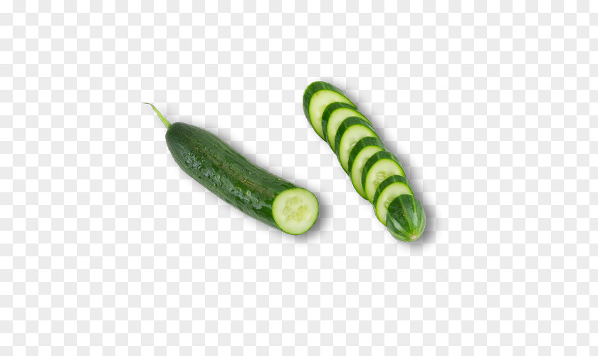 Cucumber Vegetable Melon PNG