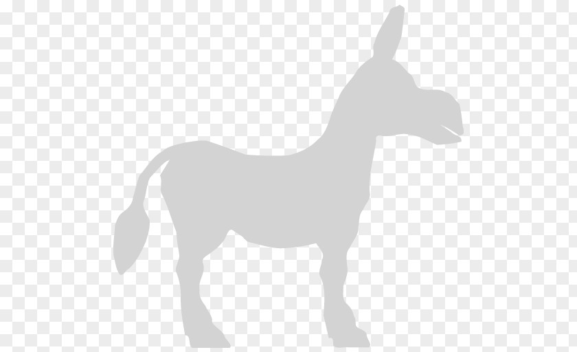 Donkey Mule Foal Clip Art PNG