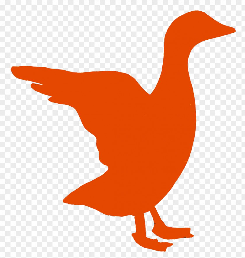 Duck Drake The Bookshop Chicken Goose Bookselling PNG