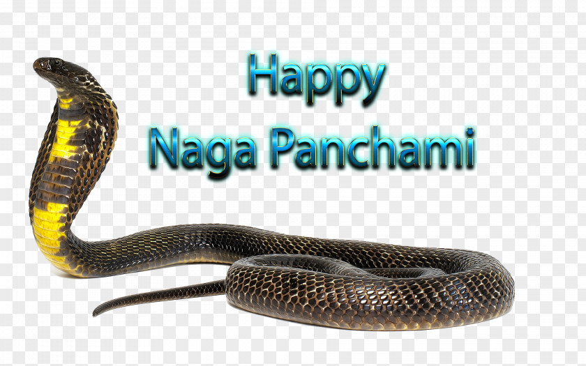 Fireworks Hd Serpent Naga Panchami Rattlesnake Kingsnakes Product PNG