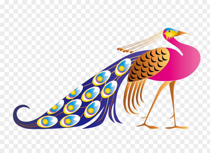 Peacock Peafowl Free Content Dance Clip Art PNG