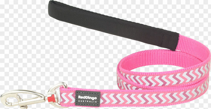 Pink Glare Leash Chihuahua Dingo Dog Collar PNG