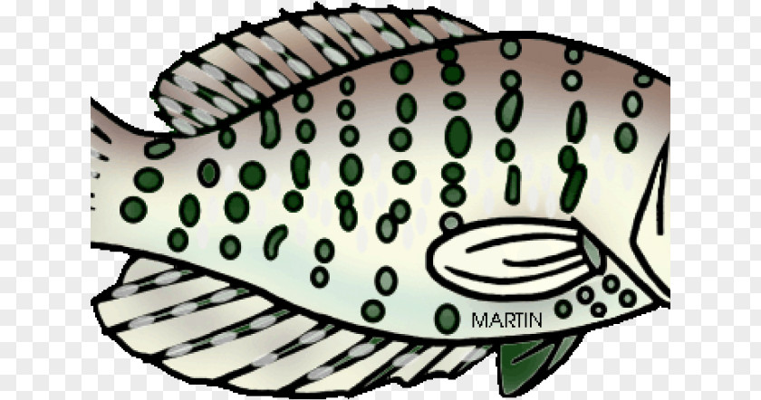 Rayfinned Fish Bonyfish Cartoon PNG