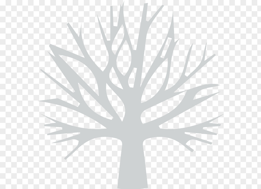 Tree Sillouette Table Furniture Jungle PC Kitchen Cabinet Computer Software PNG