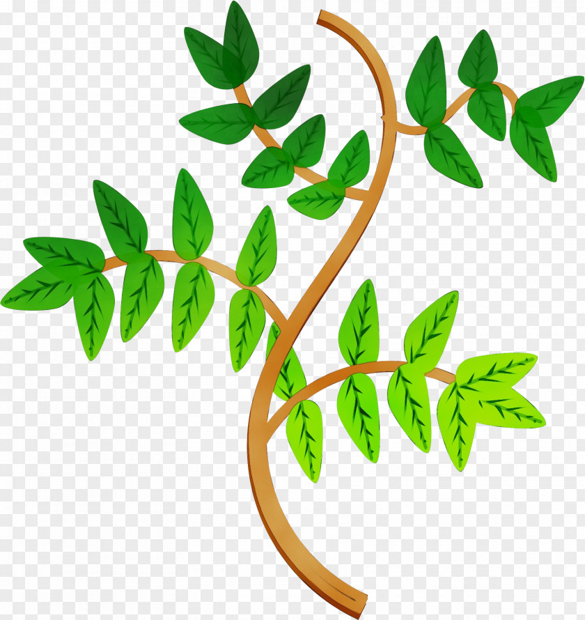 Twig Tree Branch Plant Stem Leaf Flower Plants PNG