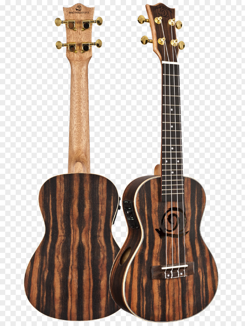 Bass Guitar Ukulele Acoustic Acoustic-electric Tiple PNG