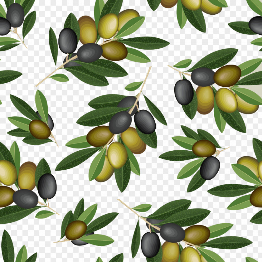 Cartoon Olive Background Lebanese Cuisine Oil Branch PNG