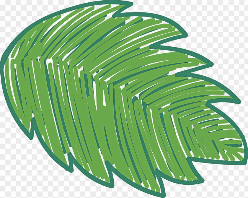 Mexico Elements PNG