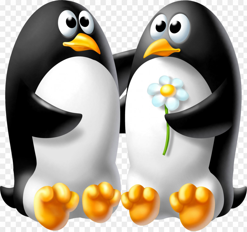 Penguin Desktop Wallpaper Child PNG