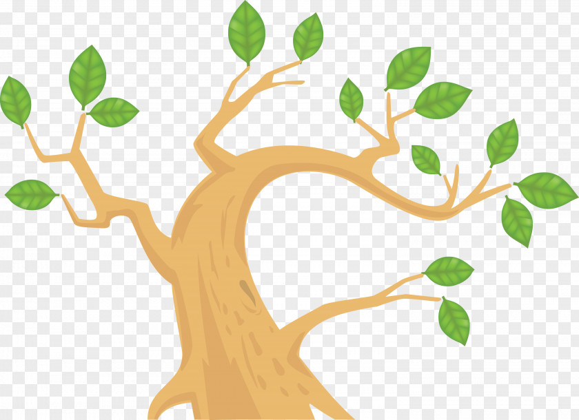 Branch Tree Plant Leaf Stem PNG