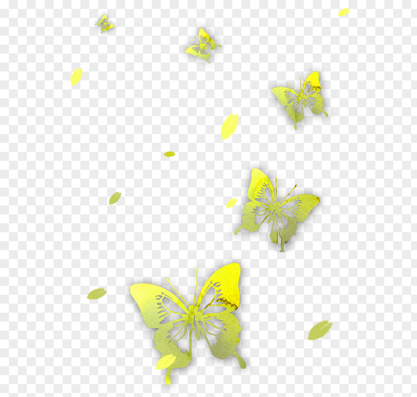 Butterfly Flower Fly Icon PNG