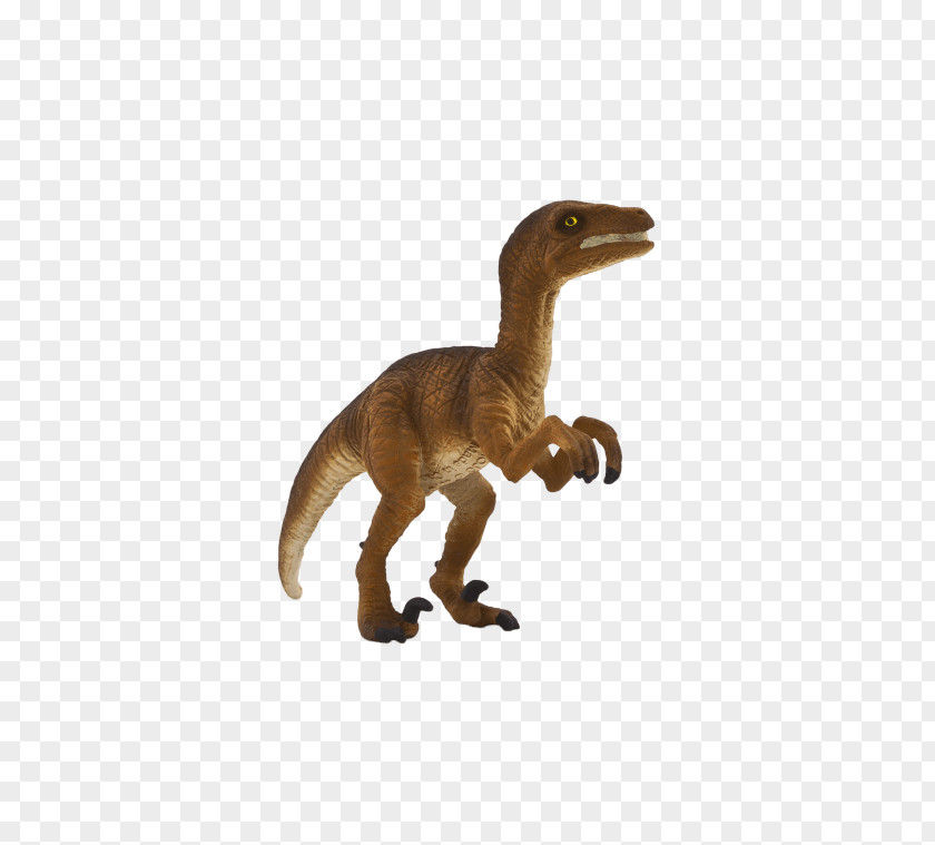 Dinosaur Velociraptor Tyrannosaurus Size Allosaurus PNG