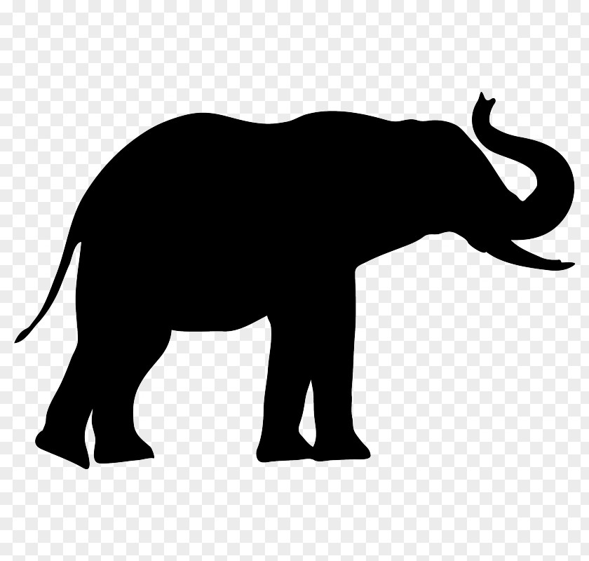 Elephant African Drawing PNG
