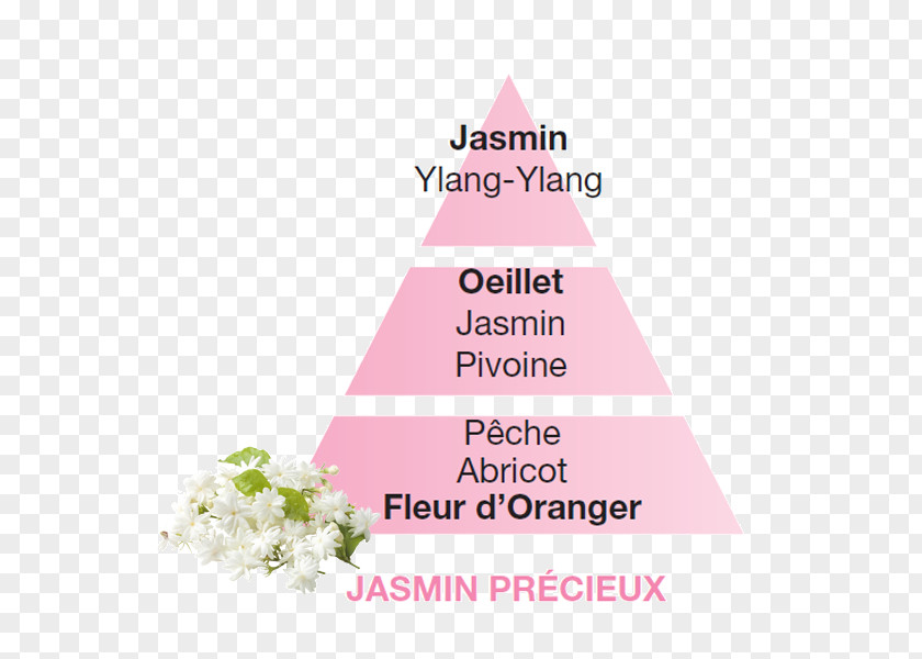 Perfume Fragrance Lamp Jasmine La Bella Candela PNG