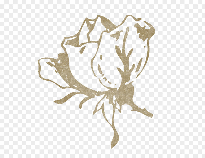 Rose Brudbukett Flower Clip Art PNG