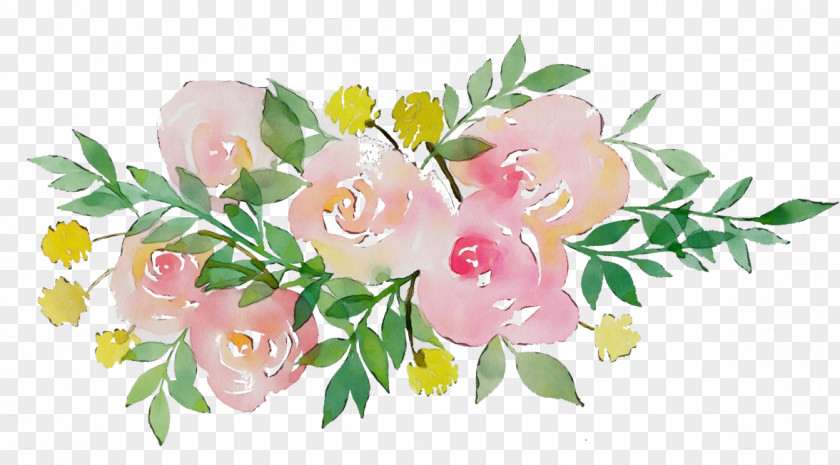 Rose Family Branch PNG